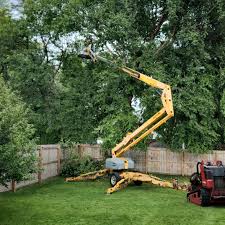 Best Tree Risk Assessment  in Grantsville, UT